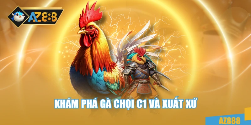 Gà Chọi C1 – Dòng Chiến Kê Bất Bại Trong Mọi Sới Đấu 2 Khám phá gà chọi C1 và xuất xứ