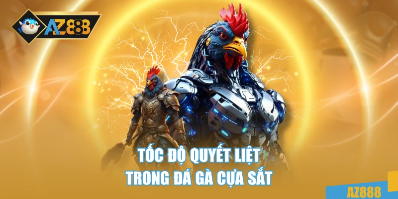 Trực Tiếp Đá Gà Thomo – Đỉnh Cao Giải Trí Và Cá Cược Hấp Dẫn 3 Tốc độ quyết liệt trong đá gà cựa sắt