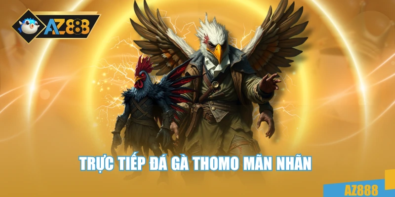 Trực Tiếp Đá Gà Thomo – Đỉnh Cao Giải Trí Và Cá Cược Hấp Dẫn 2 Trực tiếp đá gà thomo mãn nhãn