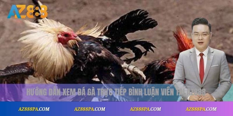 Đá Gà Trực Tiếp Bình Luận Viên – Trải Nghiệm Gay Cấn Từng Phút 2 Hướng dẫn xem đá gà trực tiếp có bình luận viên tại AZ888