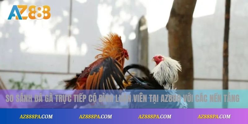 Đá Gà Trực Tiếp Bình Luận Viên – Trải Nghiệm Gay Cấn Từng Phút 3 So sánh đá gà trực tiếp có bình luận viên tại AZ888 với các nền tảng khác